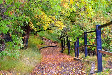Check spelling or type a new query. River Valley Trail In Glenora Edmonton Photograph by Carol ...