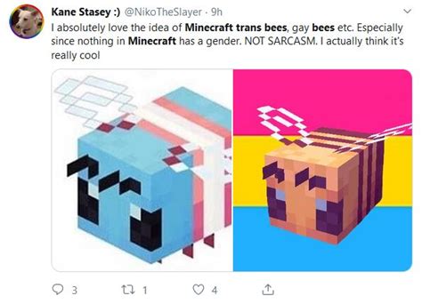 Lgbtxyz Twitter “the Minecraft Bee Is Trans Because We Said So