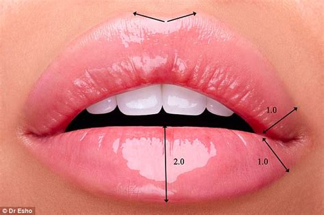Dr Esho Devises A Formula For The Ideal Lip Ratio Daily Mail Online