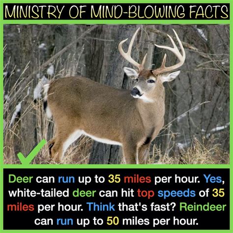 pin on mind blowing facts