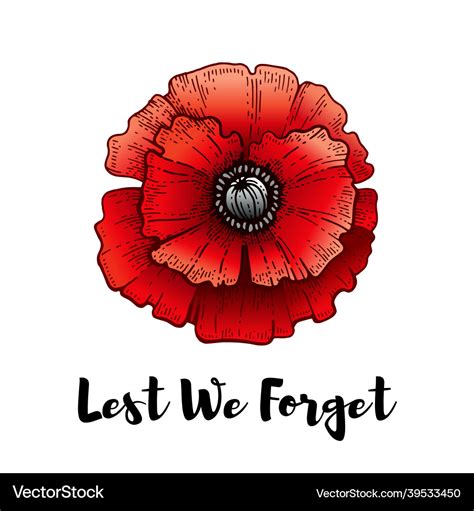 Remembrance Day Poppy With Lest We Forget Text Vector Image My Xxx Hot Girl