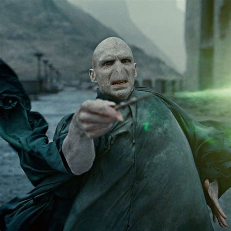 The Final Battle Harrypotter Harry Potter Voldemort Harry Potter Movies