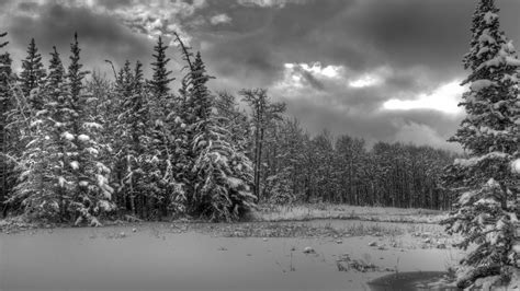 Black And White Snow Wallpaper 45 Images
