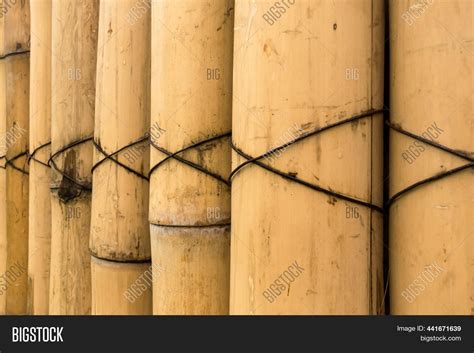 Old Brown Tone Bamboo Image And Photo Free Trial Bigstock
