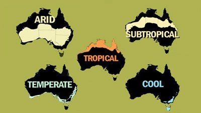 Variegated Foliage - Fact Sheets - Gardening Australia - GARDENING AUSTRALIA