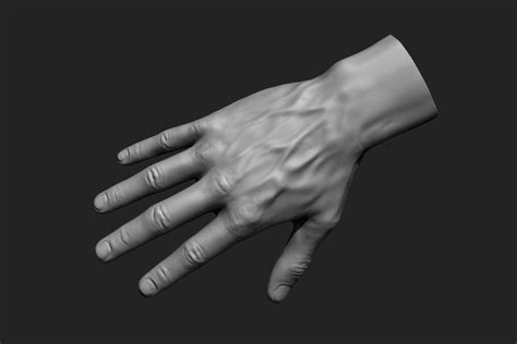 Artstation 12 Male Hands Imm Resources Male Hands Hand Reference