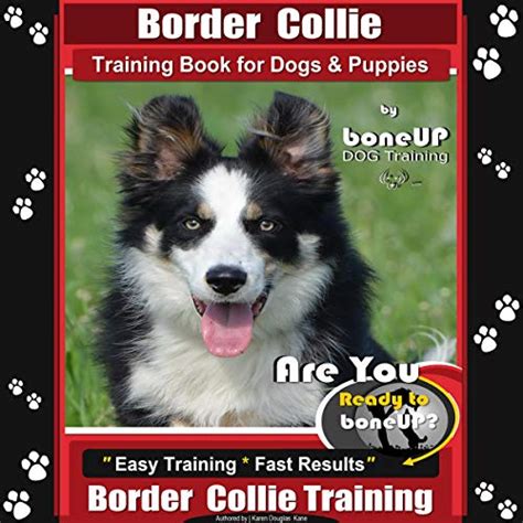 The Complete Guide To Border Collies Training Teaching