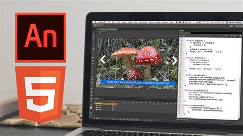 Adobe Animate Cc Avanzado Interactividad Html5 Xpert Diseño Y