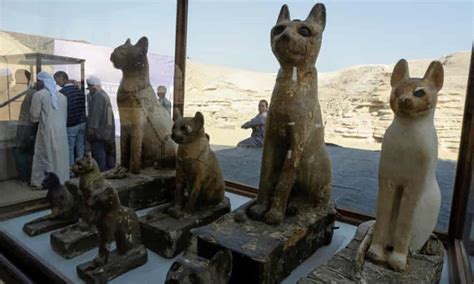 Mummified Lion And Dozens Of Cats Among Rare Finds In Egypt