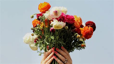 How To Choose Your Wedding Flowers Based On Your Zodiac Top N Down