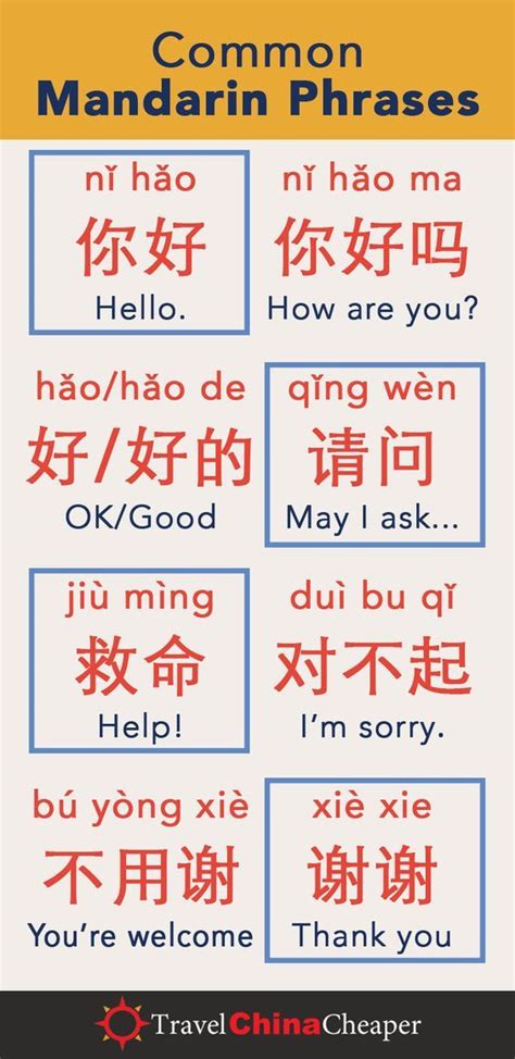 Learn Common Mandarin Phrases Chinese Language Learning Mandarin