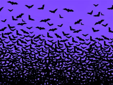 Halloween Bat Wallpapers Top Free Halloween Bat Backgrounds