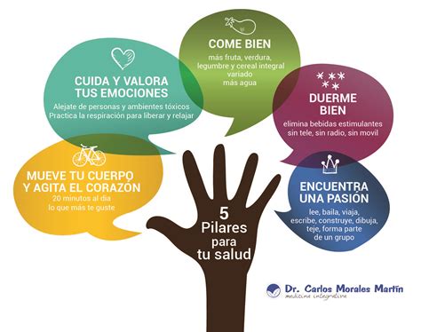 Los 5 Pilares De La Salud Carlos Morales Martín Médicina Integrativa