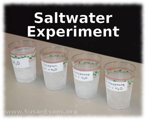 13 Saltwater Experiment Easy Science Projects Science Experiments