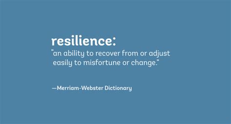 The Term Resilience Is Everywhere But What Does It Really Mean Ensia
