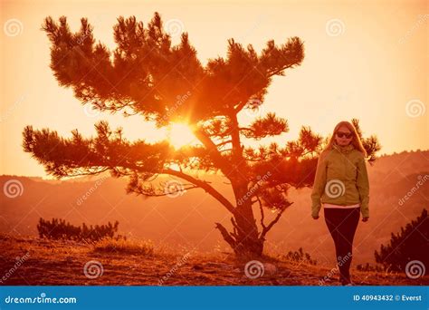 Lonely Tree On Mountain And Woman Stock Photo Image Of Mountain