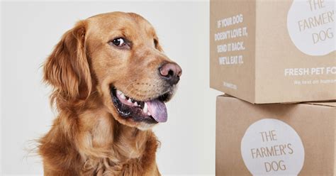That's why we created the farmer's dog — a service that delivers balanced, freshly made pet food with simple recipes, guided by science, and driven by love. The Farmer's Dog | Homemade Dog Food, Fresh & Delivered
