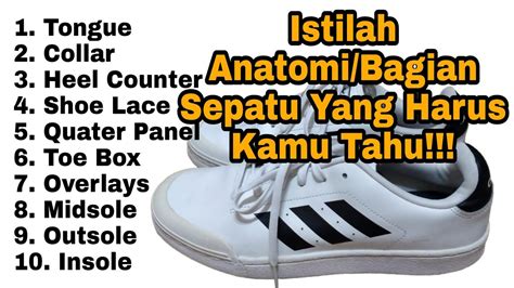 Istilah Sebutan Anatomibagian Sepatu Yang Harus Kamu Tahu‼️ Youtube