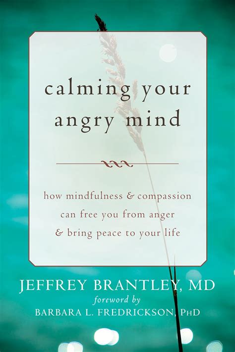 Calming Your Angry Mind Ebook Mindfulness Anxious Brain