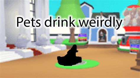 Rating How Pets Drink In Adopt Me Part 1 Youtube