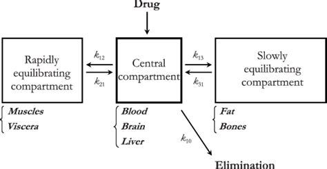 Three Compartment Mamillary Model Download Scientific Diagram