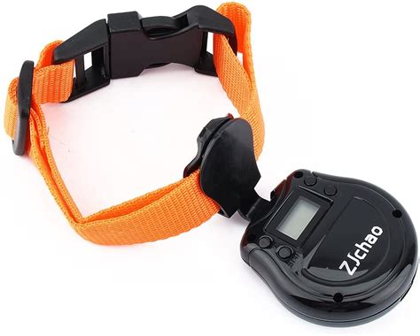 8 Best Cat Collar Camera Buyer Guide And Review I Love My Sweet Cats