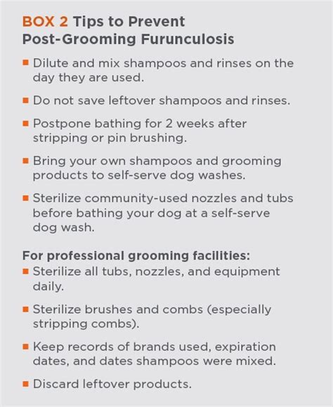 Post Grooming Furunculosis Todays Veterinary Practice