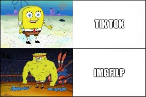 Tik Tok And Imgfilp Imgflip
