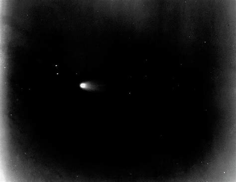 Halleys Comet Photograph By Royal Astronomical Societyscience Photo
