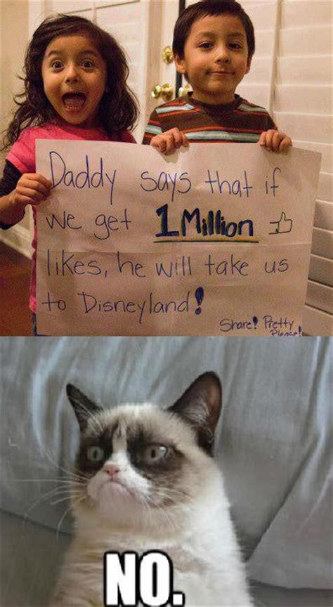 Grumpy Cat Says No To Disney World Grumpy Cat Know