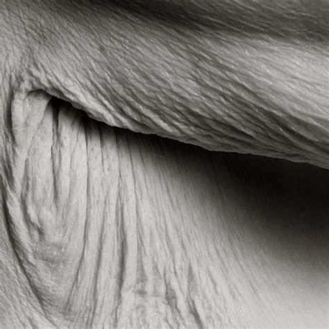 Photographer Reveals What The Human Body Looks Like At Age 100 Bored