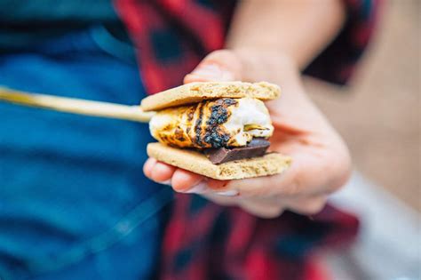 Vegan S'mores: An Update to a Campfire Classic | Fresh Off ...