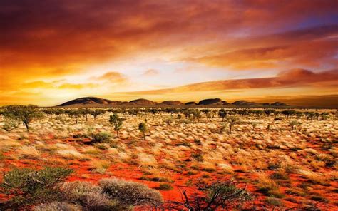 Australian Outback Australia Landscape Landscape Wallpaper Desert