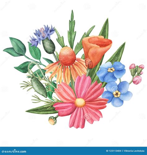 Bouquet Of Wild Summer Flowers Square Composition Stock Illustration
