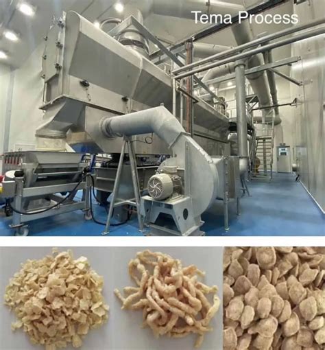 Drying Of Extruded Food And Feed Products Tema Process