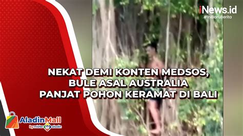 Nekat Demi Konten Medsos Bule Asal Australia Panjat Pohon Keramat Di Bali Youtube
