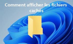 Comment Afficher Les Fichiers Cach S Sur Windows
