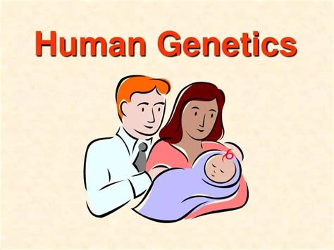 Ppt Human Genetics Powerpoint Presentation Free Download Id5485994
