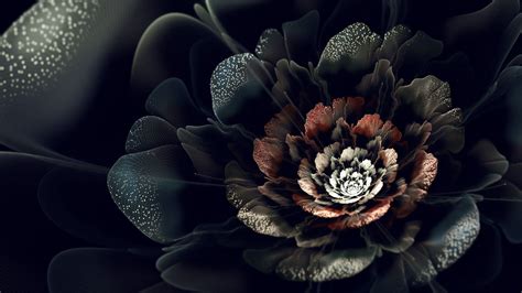 Black Flowers Wallpapers Wallpaper Cave