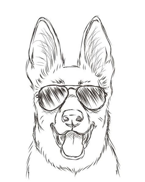 Learning how to draw a dog step by step will be made easier if you study every part of the dog. Sketch of dog face wearing aviator sunglasses HD wallpaper ...