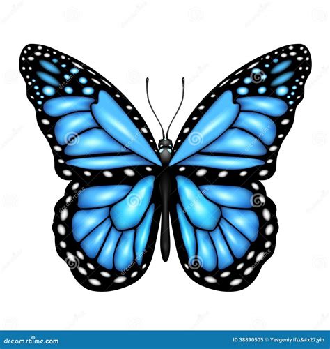 Farfalla Blu Illustrazione Vettoriale Illustrazione Di Artropodo