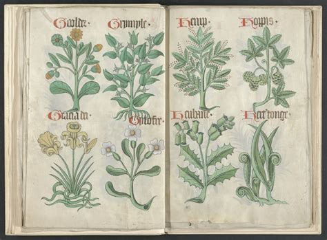 Helmingham Herbal And Bestiary Circa 1500folios 5v 6r Botanical