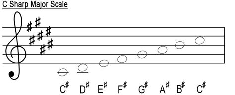 C Sharp Major Scale Chords Piano Page Xxx Porn Videos C Sharp | Sexiz Pix