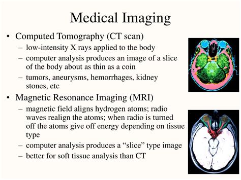 Ppt Chapter 1 Major Themes Of Anatomy And Physiology Powerpoint