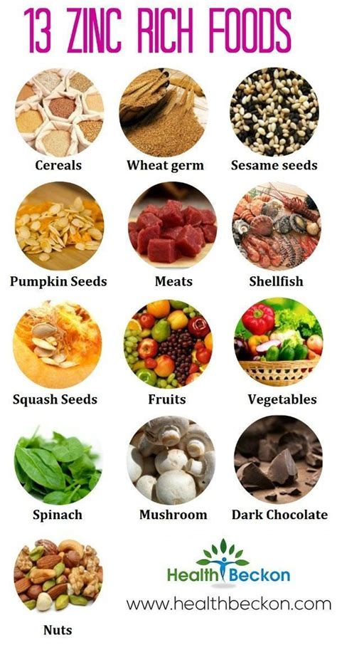 Jun 13, 2021 · this puts those that avoid animal foods at an even greater risk for deficiency! Top 13 Zinc Rich Foods You Should Include In Your Diet ...