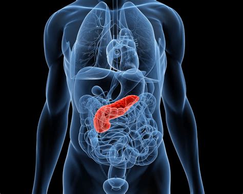 Pancreatic Cancer. Our biggest challenge with one the… | by Penn State ...