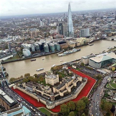An Incredible Birds Eye View Of The Ceramic Poppies Outside The Tower