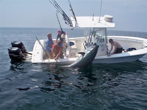 Fishing St Helena Island Huge Fish