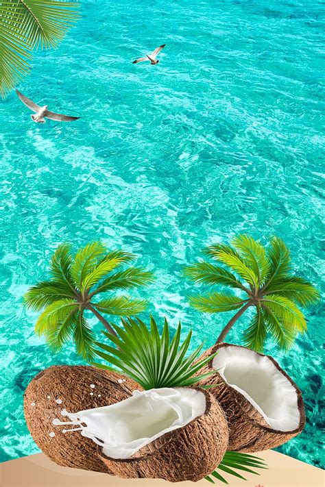 3840x2160px 4k Free Download Coconut Splash Beach Bird Ocean