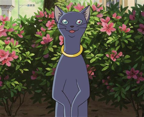 Prince Lune Studio Ghibli The Cat Returns Anime